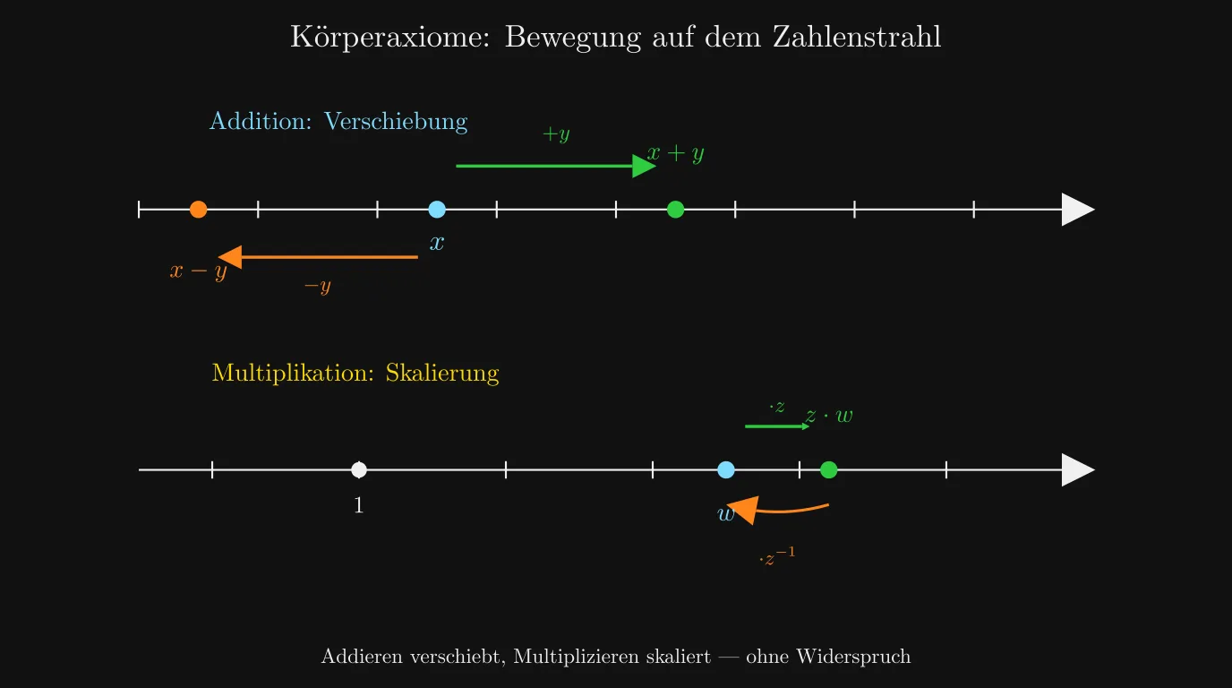 Körperaxiome als Bewegung auf dem Zahlenstrahl: Addition verschiebt, Multiplikation skaliert
