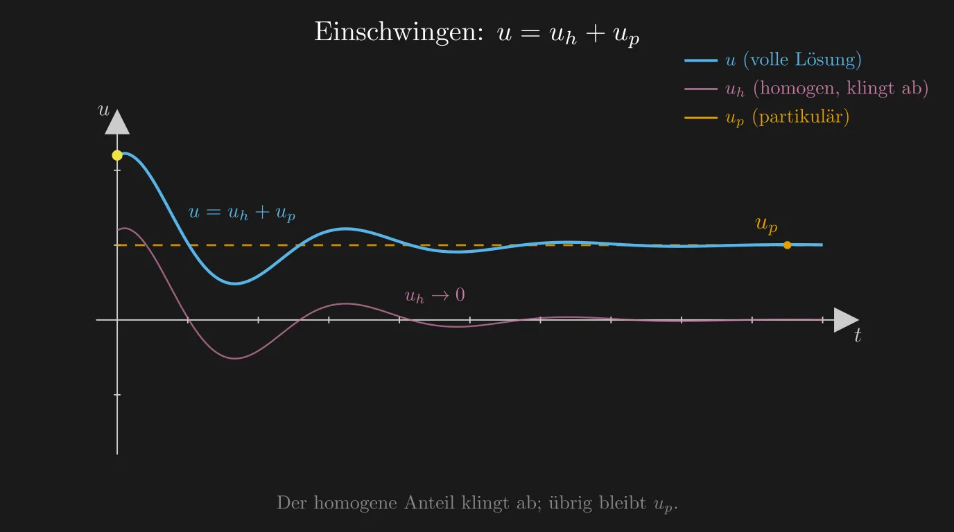 Einschwingen einer inhomogenen Lösung